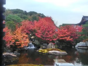 京都日本庭園